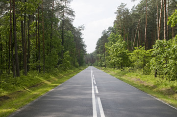 Fototapeta na wymiar Polish local road