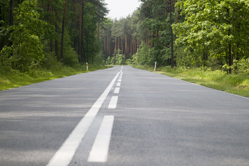 Polish local road