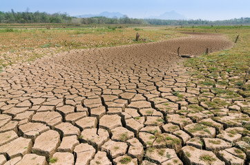 Global warming, Drought.