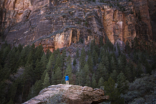 Rock with trees in front