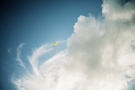 Kite in blue sky,