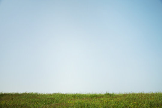 Clear sky above green meadow