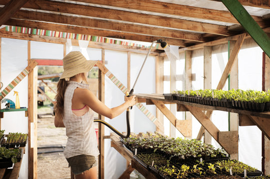 Young woman watering seedling in greenhouse