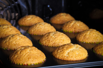 Cupcakes on a baking tray in the open oven. Selective focus. Sha