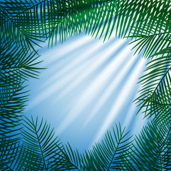 Fototapeta na wymiar Frame of palm leaves