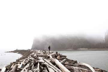 Teenage boy standing on driftwood