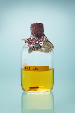 Close up of bottle with liquid