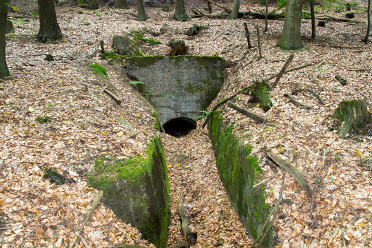 Bunker
