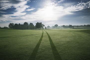 Tire tracks on golf course