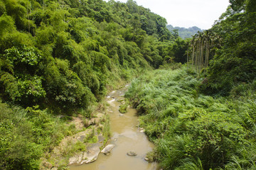 Fototapeta na wymiar River in a mountain forest