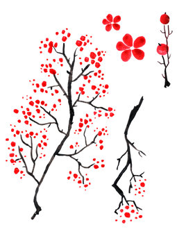 A set of black and red tree with flowers. Decorative branch, sakura branch, decorative flower, ornamental tree, logo, calligraphy. It made for design watercolor