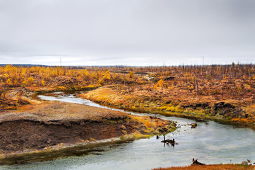The river flows through the polar tundra.