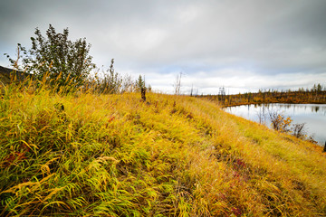 Obraz premium The river flows through the polar tundra.