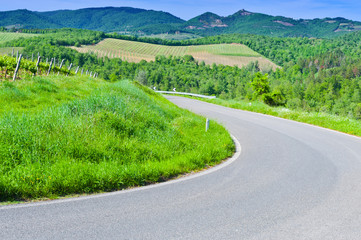 Road between Vineyards
