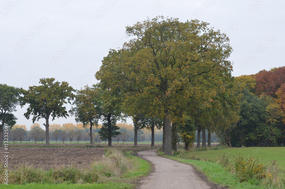 Wall mural Small path in countryside landscape