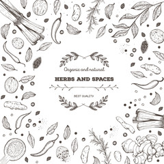 Vector card design with hand drawn spices and herbs.