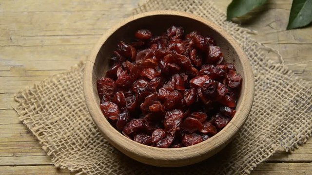 Vaccinium macrocarpon Ar&aacute;ndano rojo grande Gro&szlig;fr&uuml;chtige Moosbeere Large cranberry Amerikankarpalo American cranberry Mirtillo rosso Bearberry Canneberge &agrave; gros fruits Żurawina wielkoowocowa قره&zwnj;قات