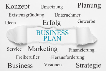 Businessplan