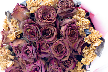 love roses wilt, dry