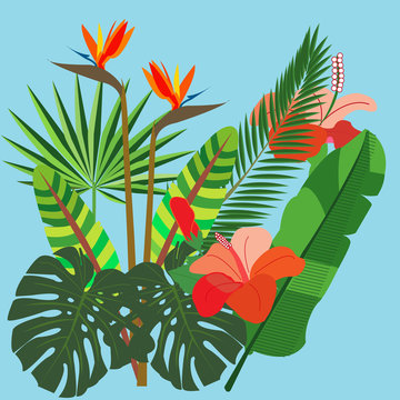 vivid bunch of different tropical flowers and plants. Bouquet of