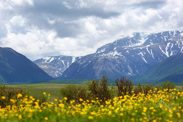 Fototapeta na wymiar View of Altai mountains