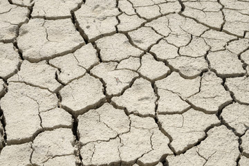 Detail of dry cracked soil texture