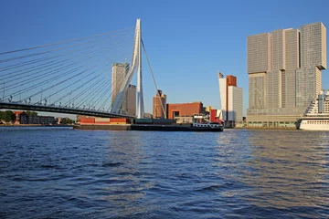 Wall murals Erasmus Bridge Erasmusbrücke, Rotterdam, Niederlande