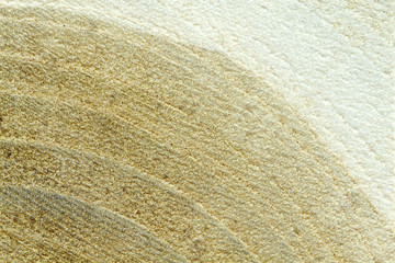 Wood texture background