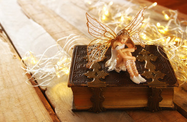 magical little fairy in the forest next to old book