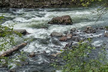 Rock and Rapids 7