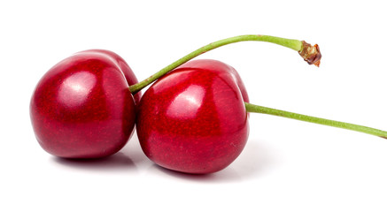 two sweet cherry closeup isolated on white background