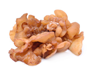 Jew's ear Mushroom isolate on white background