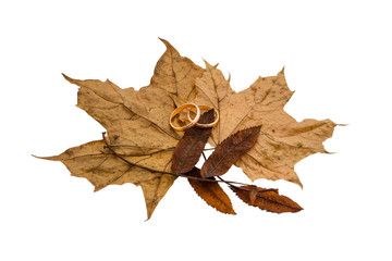 Composition from dry leaves and wedding gold rings, together till an old age and a golden wedding
