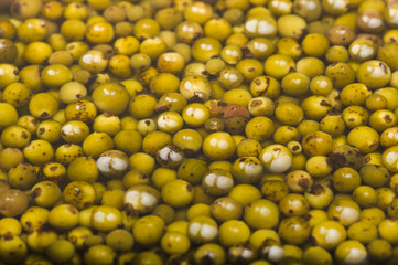 Bowl of green pepper grains close up