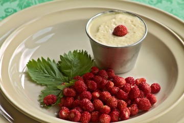 wild strawberries freshly picked served with dessert