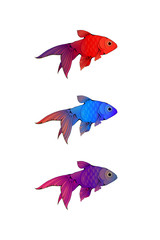 Hand-drawn ink-stylized little colorful aquarium fishes isolated on white