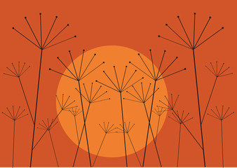 dandelion in the sunset, color vector illustration