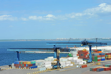 Port cargo crane and container