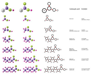 Molecules of carboxylic acid: formic acid, acetic acid, propionic acid, valeric acid, hexanoic acid