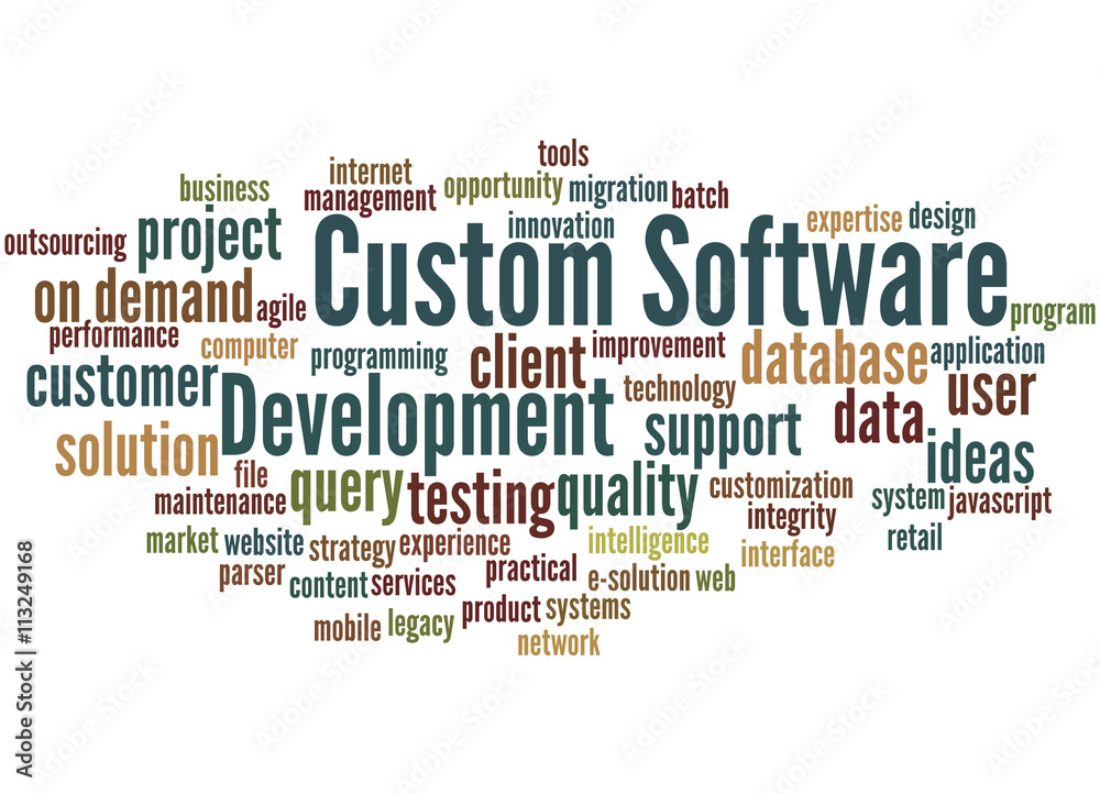 Wall mural custom software development, word cloud concept 2