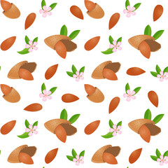 Vector seamless pattern with nuts. Appetizing, delicious background shelled almonds, in shell, leaves and flower. Element for design packages almond confectionery, perfumes and other products