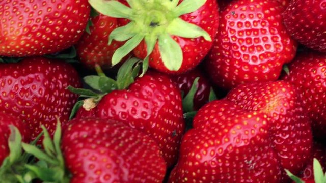 Fresh, ripe, juicy strawberries. Close up slow panorama.