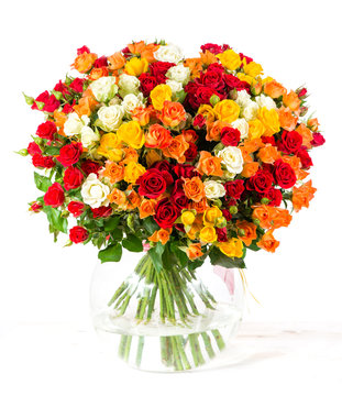 colorful shrub rose bouquet  isolate on white