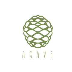 vector design template of the agave root