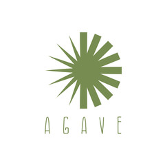 vector design template of the agave plant