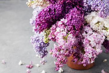 Bunch of lilac flowers in a cooper vintage jug. Blue background Copy space