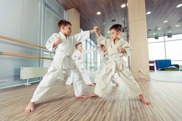 young, beautiful, successful multi ethical kids in karate position © satyrenko