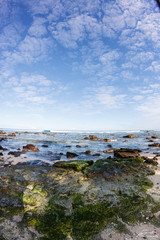 tropical beach in Mauritius Island, Indian Ocean