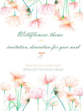 Background, invitation card, template postcard with the tender pink cosmos flowers, hand drawn on a white background, background for your card and work