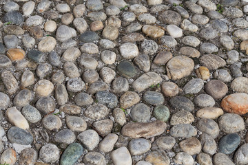 Round stones in the ground